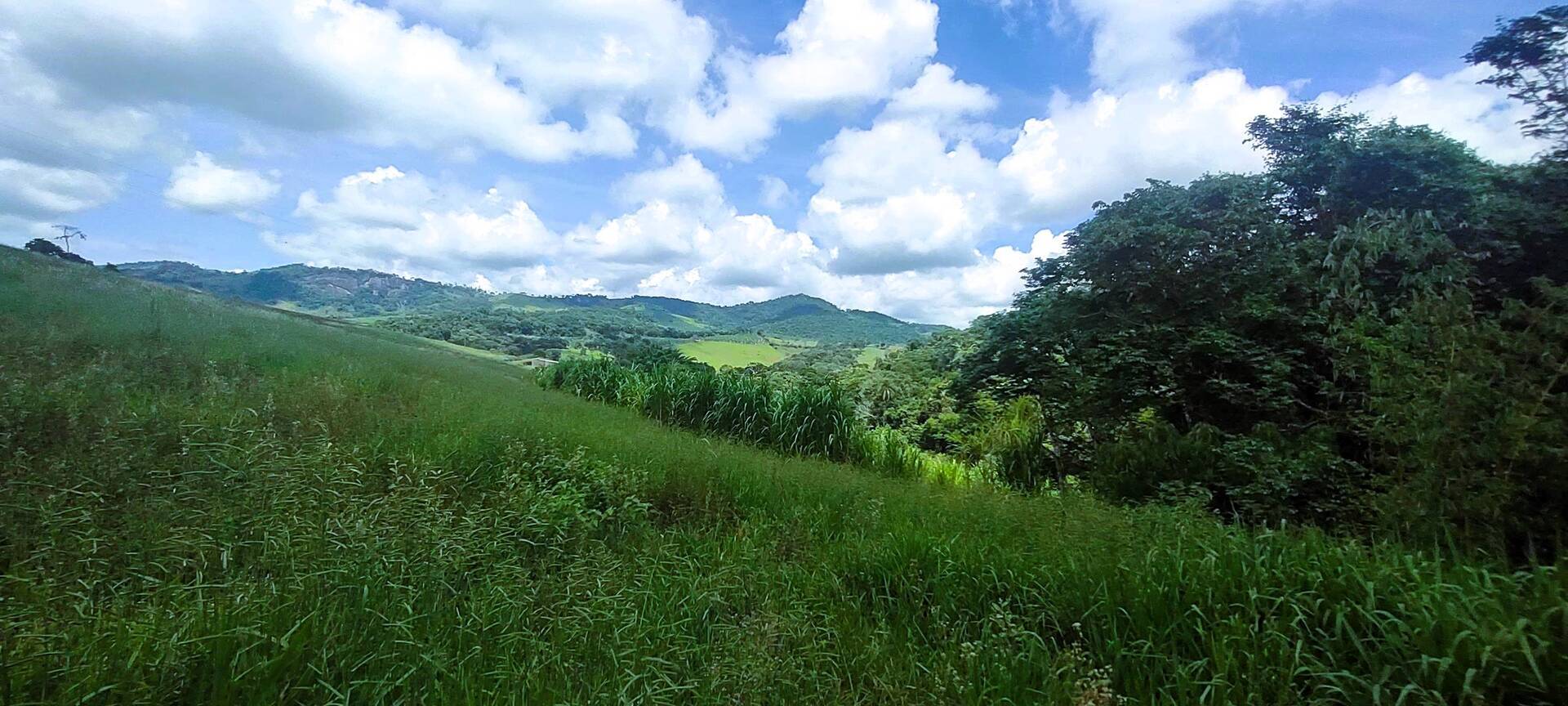 #334 - Terreno Rural para Venda em Brasópolis - MG