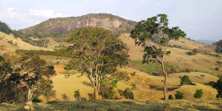 #103 - Terreno Rural para Venda em Paraisópolis - MG