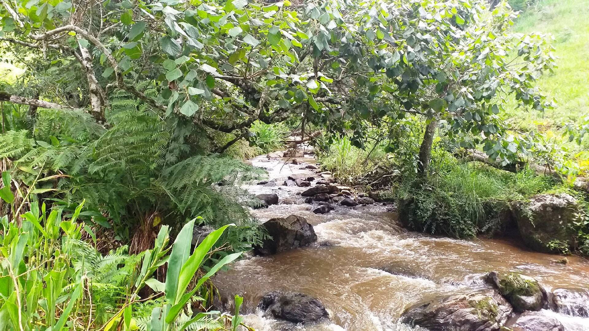 #003 - Terreno Rural para Venda em Paraisópolis - MG