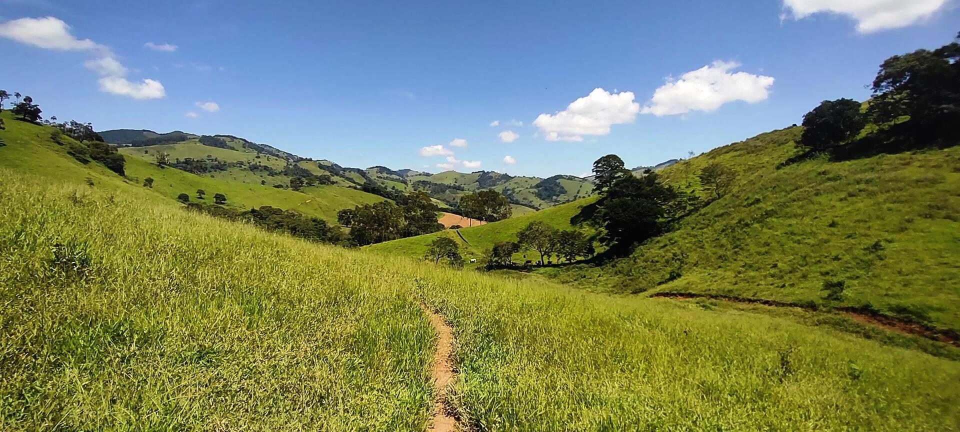 #163 - Terreno Rural para Venda em Paraisópolis - MG