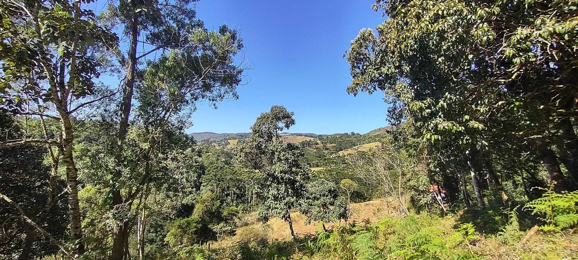 #168 - Terreno Rural para Venda em Gonçalves - MG