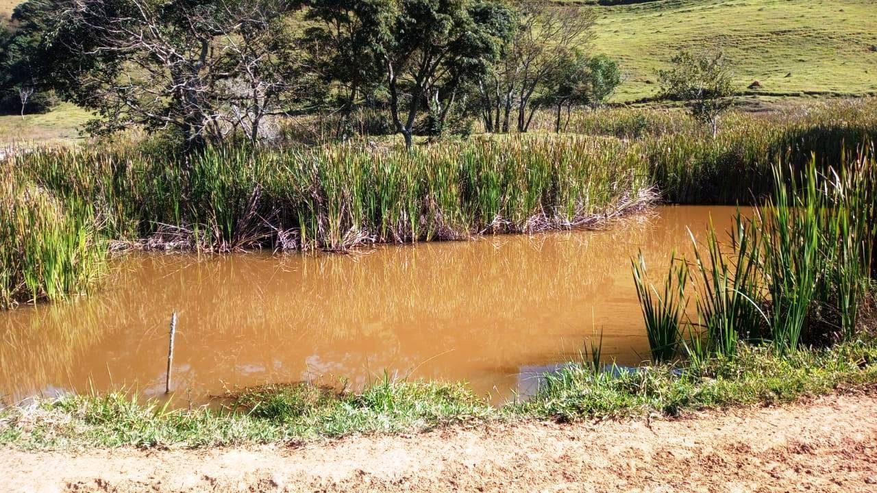#181 - Terreno Rural para Venda em Cachoeira de Minas - MG