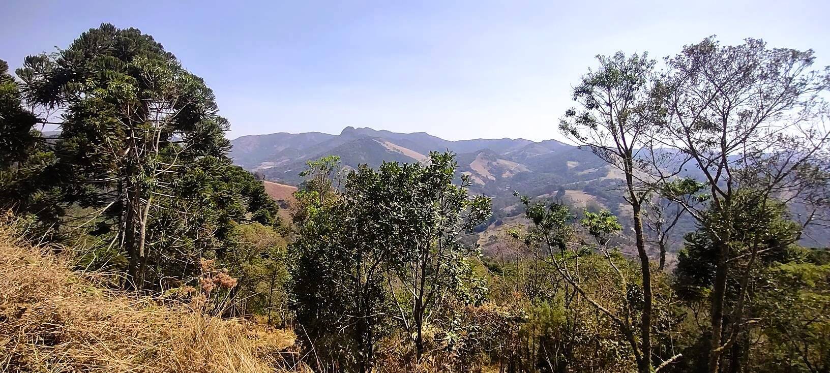 #239 - Terreno Rural para Venda em Gonçalves - MG