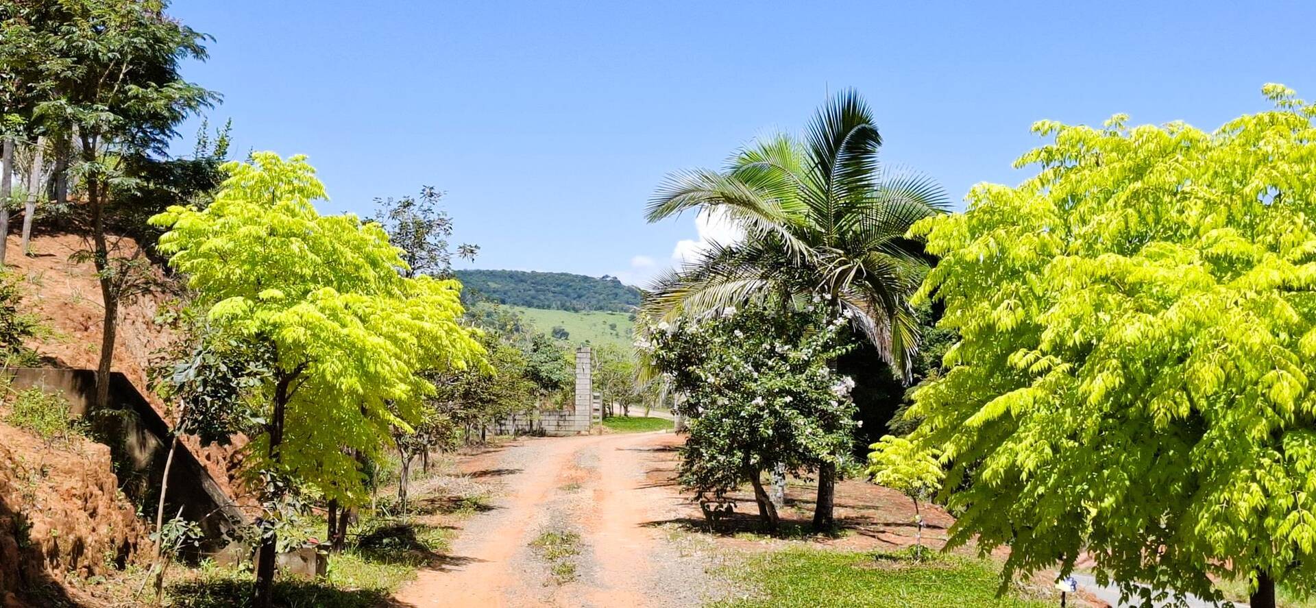 #262 - Chácara para Venda em Paraisópolis - MG