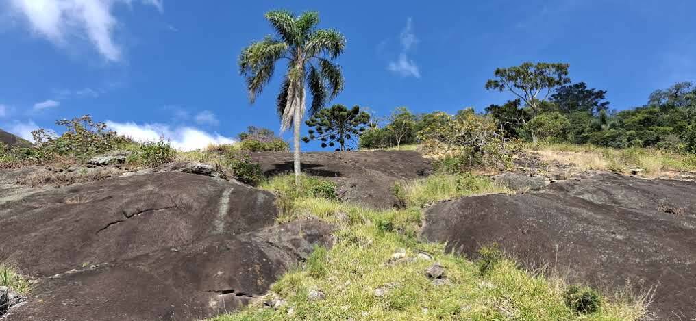 #270 - Terreno Rural para Venda em Paraisópolis - MG