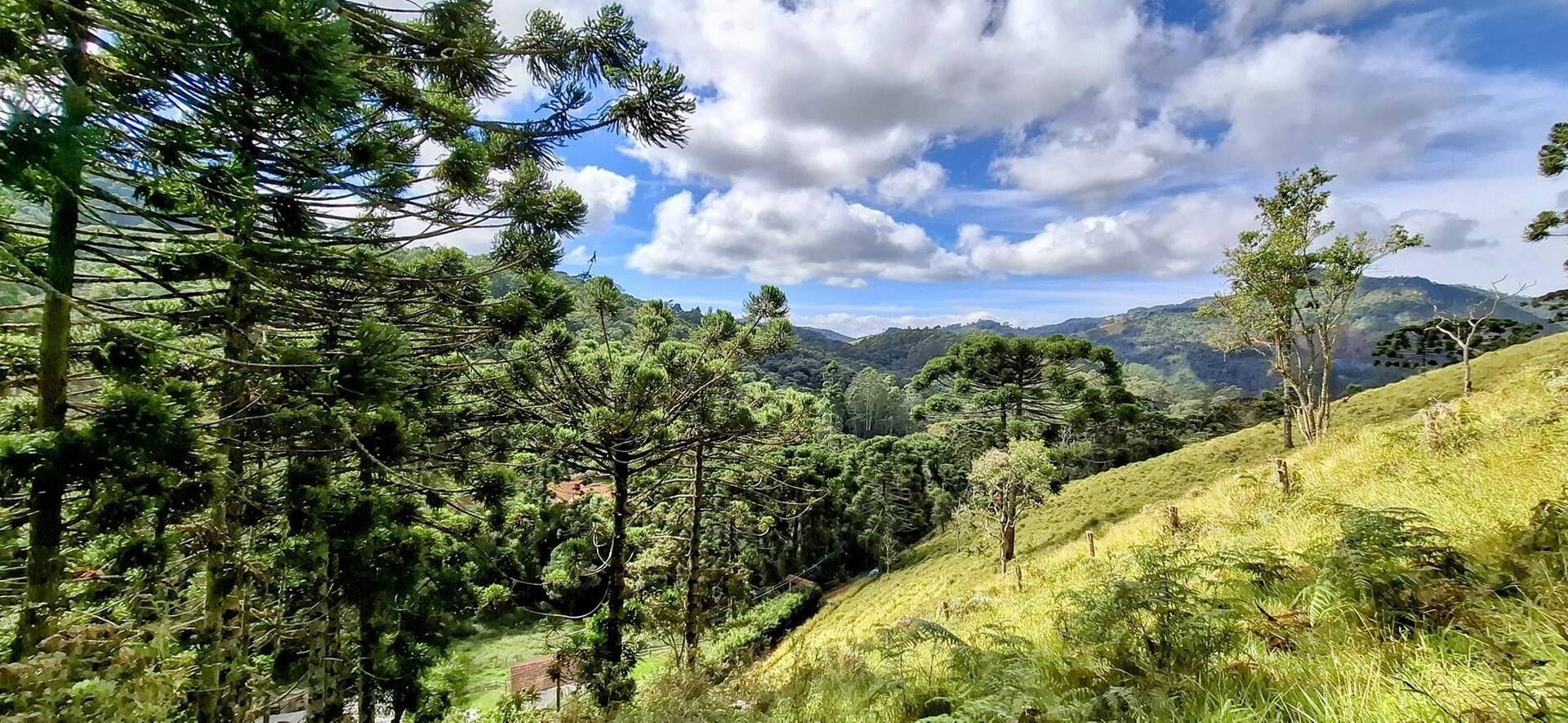 #299 - Terreno Rural para Venda em Gonçalves - MG