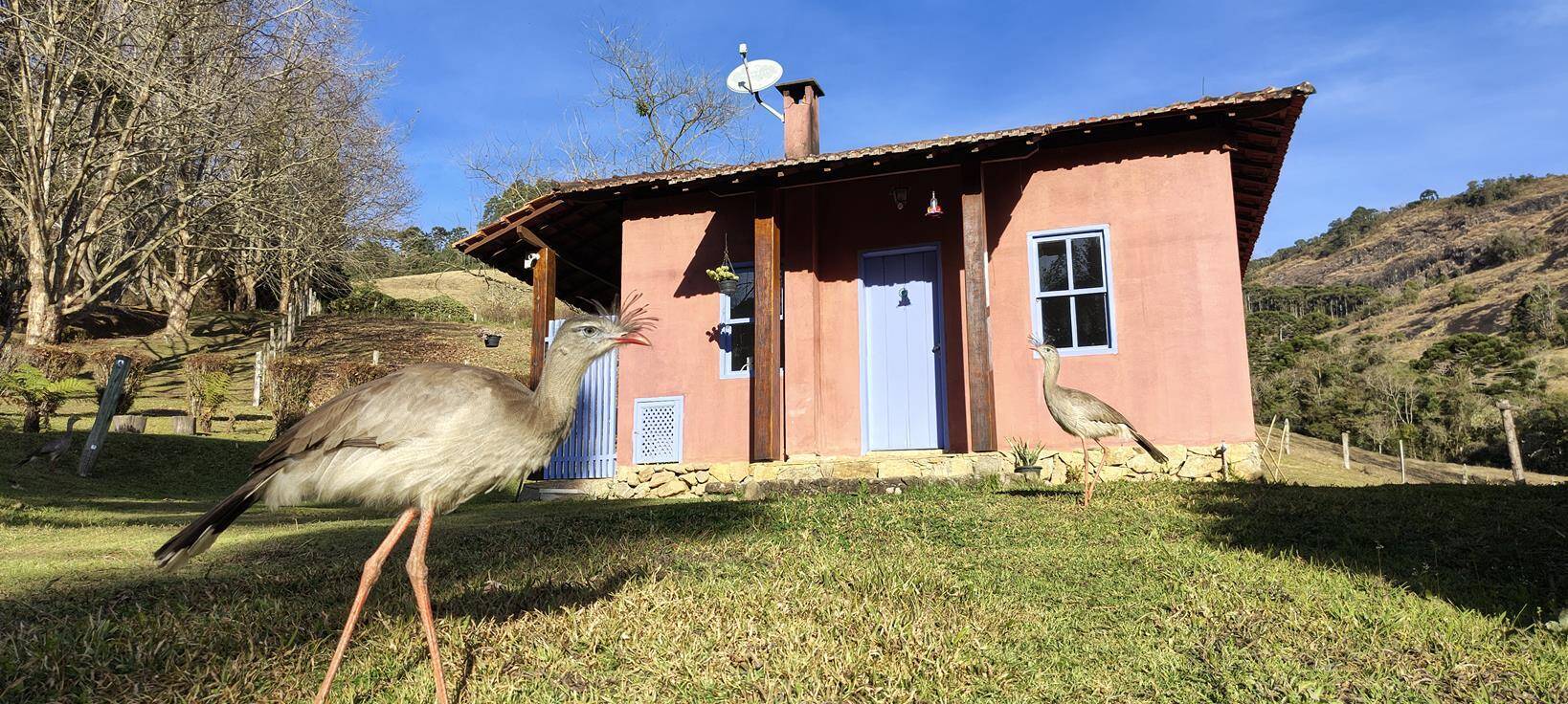 #312 - Casa para Locação em Gonçalves - MG