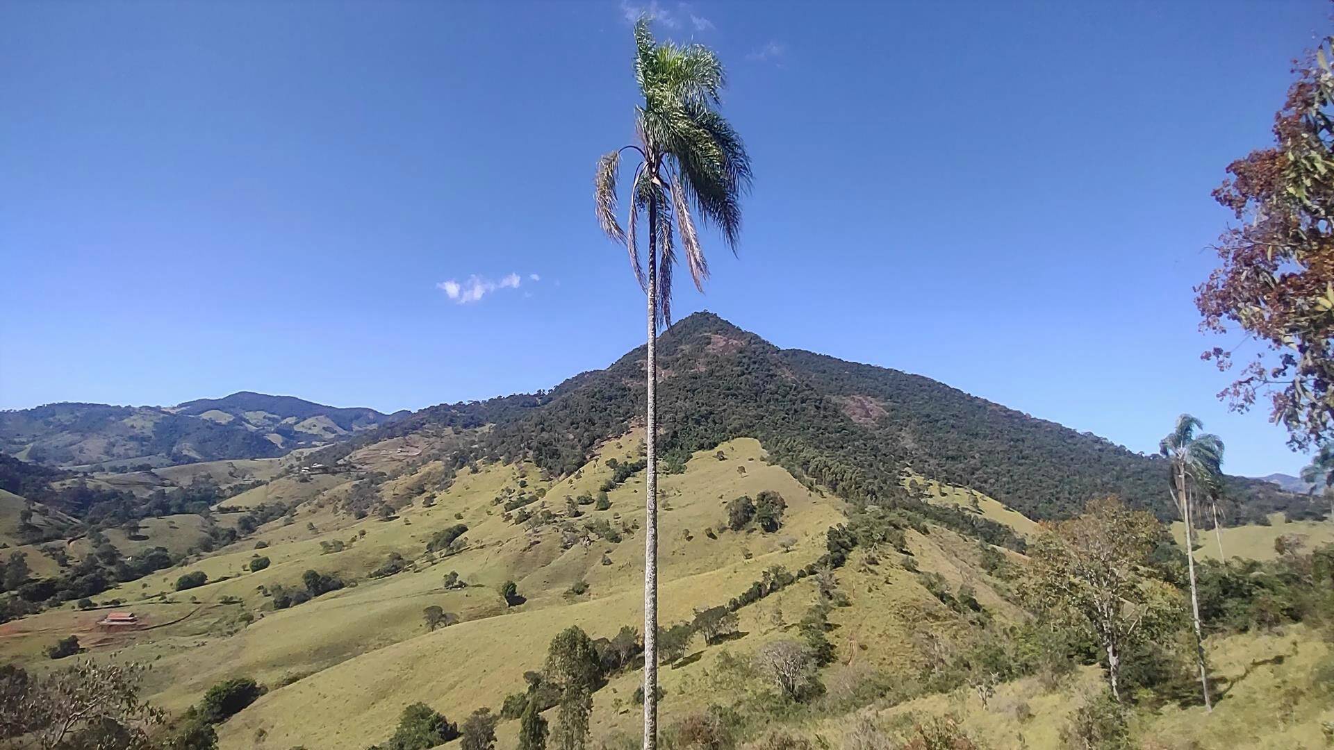 #232 - Terreno Rural para Venda em Paraisópolis - MG