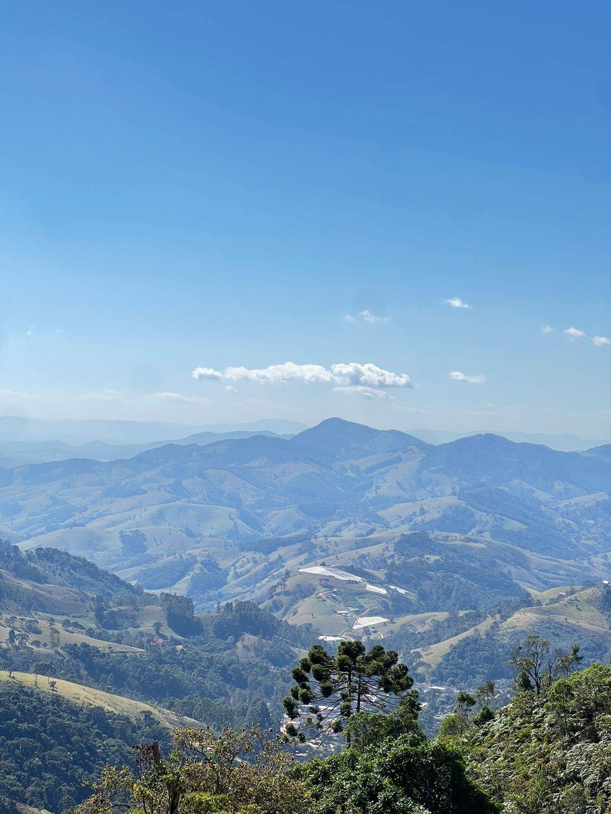 #356 - Terreno Rural para Venda em Paraisópolis - MG