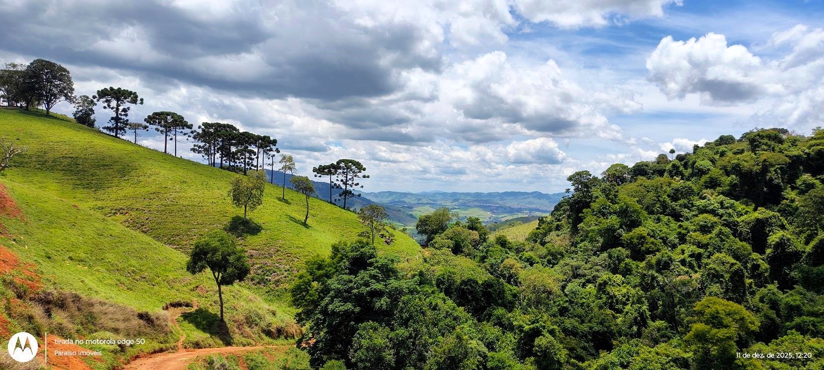 #361 - Terreno Rural para Venda em Consolação - MG