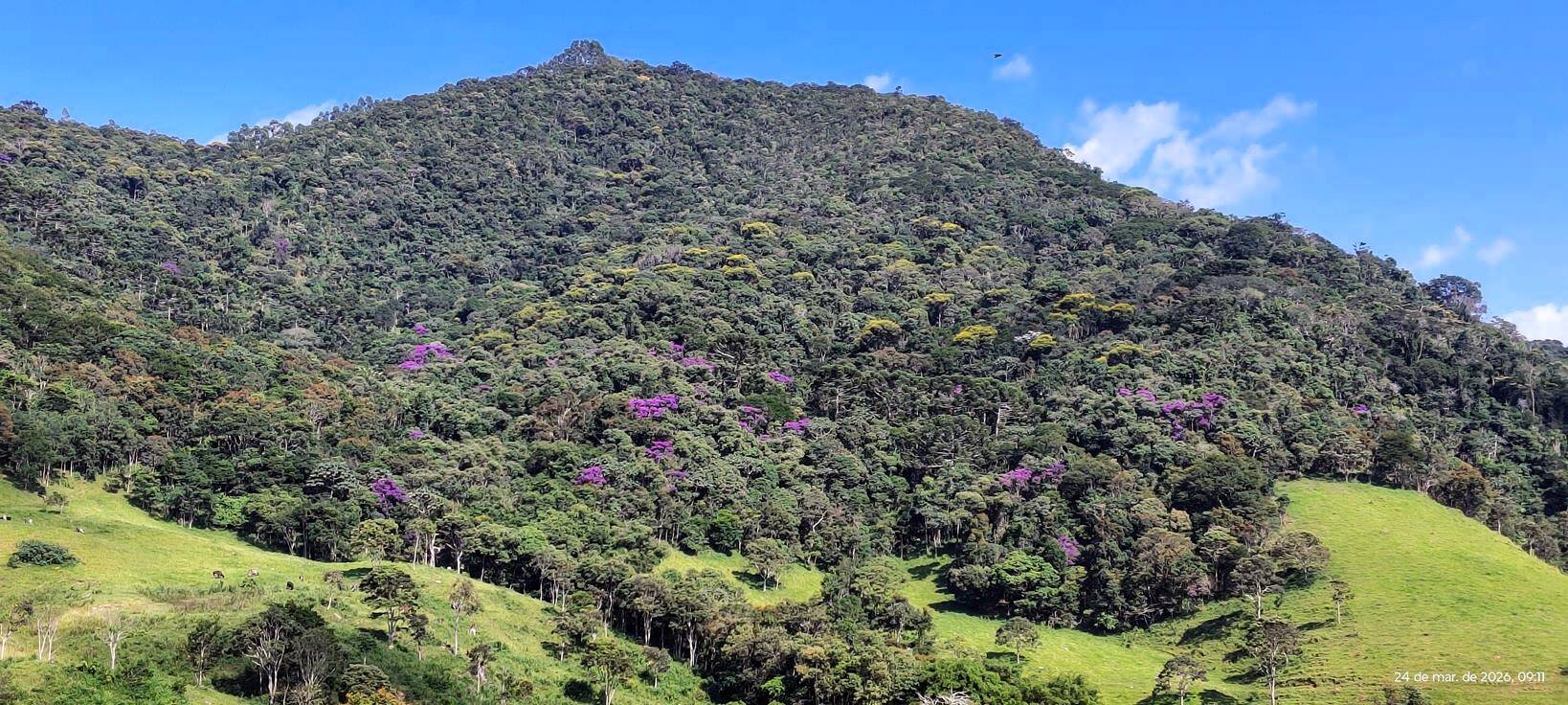 #214 - Terreno Rural para Venda em São Bento do Sapucaí - SP