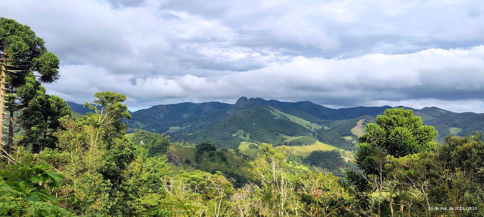 #239 - Terreno Rural para Venda em Gonçalves - MG