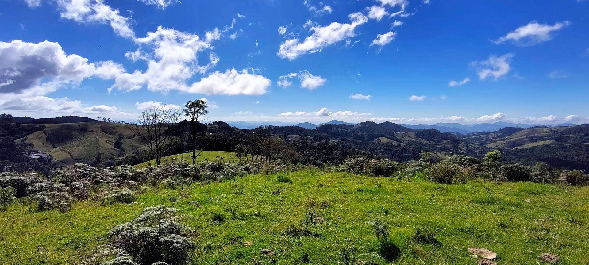 #402 - Chácara para Venda em Gonçalves - MG
