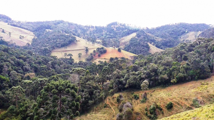 #019 - Terreno Rural para Venda em Gonçalves - MG