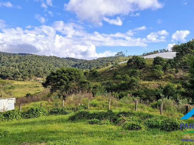 #285 - Terreno Rural para Venda em Paraisópolis - MG - 2