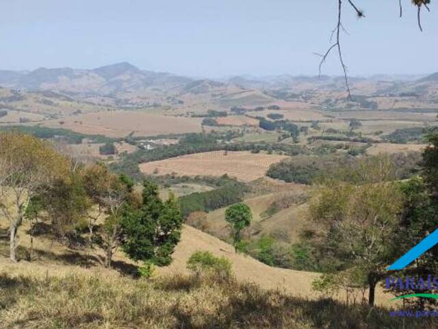 #001 - Fazenda para Venda em Paraisópolis - MG - 2