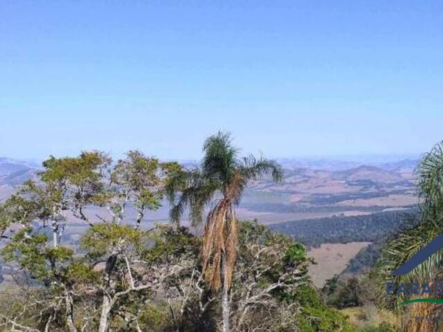 #001 - Fazenda para Venda em Paraisópolis - MG