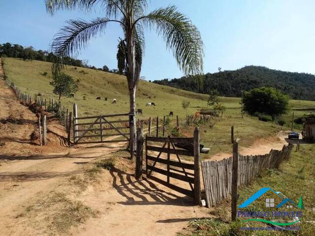 #001 - Terreno Rural para Venda em Paraisópolis - MG - 3