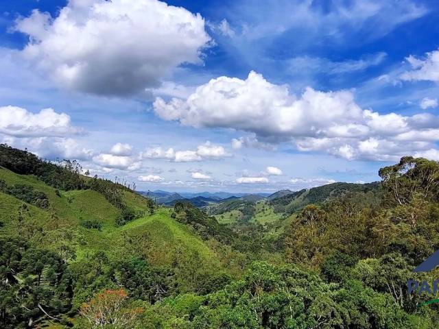 Terreno Rural para Venda em Paraisópolis - 5