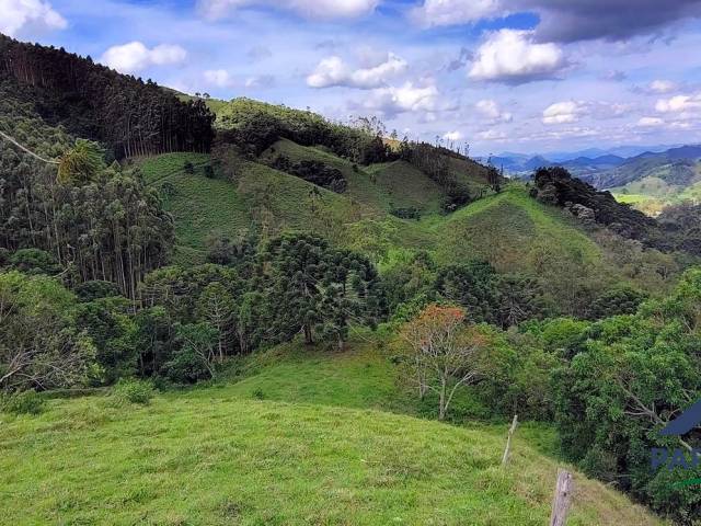 #387 - Terreno Rural para Venda em Paraisópolis - MG - 2