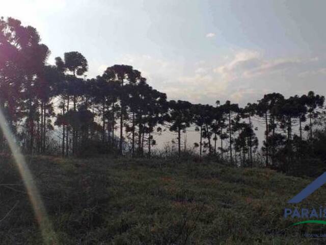 Terreno Rural para Venda em Paraisópolis - 5