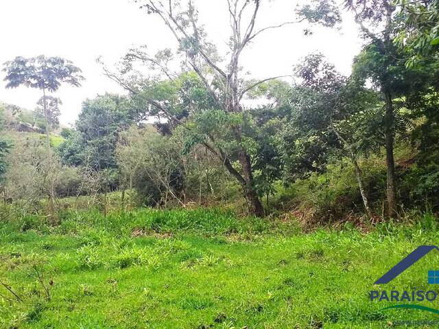 Terreno Rural para Venda em Paraisópolis - 5
