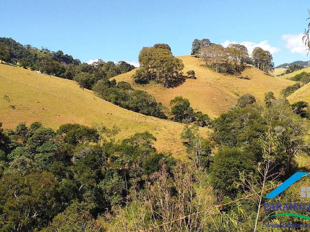 #003 - Terreno Rural para Venda em Paraisópolis - MG - 3
