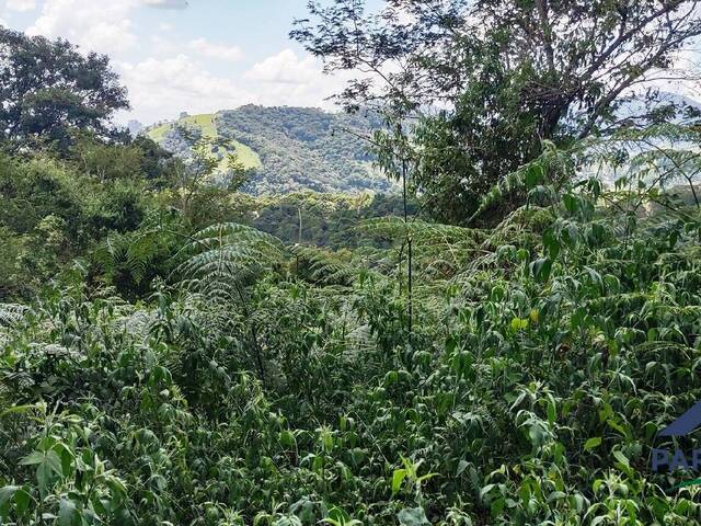 Terreno Rural para Venda em Gonçalves - 4