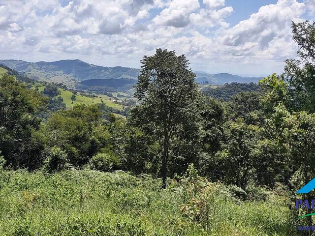 #073 - Terreno para Venda em Gonçalves - MG - 3