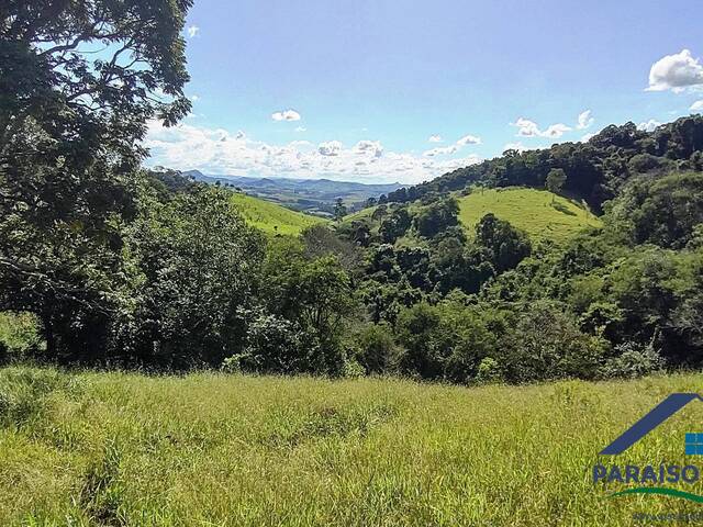Terreno Rural para Venda em Conceição dos Ouros - 4