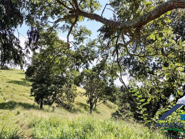 Terreno Rural para Venda em Conceição dos Ouros - 5