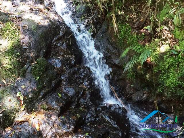 #128 - Sítio para Venda em Gonçalves - MG - 2