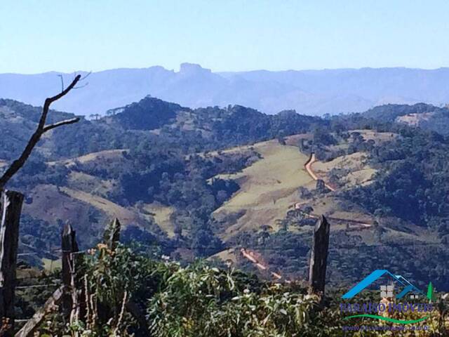 #128 - Sítio para Venda em Gonçalves - MG - 1