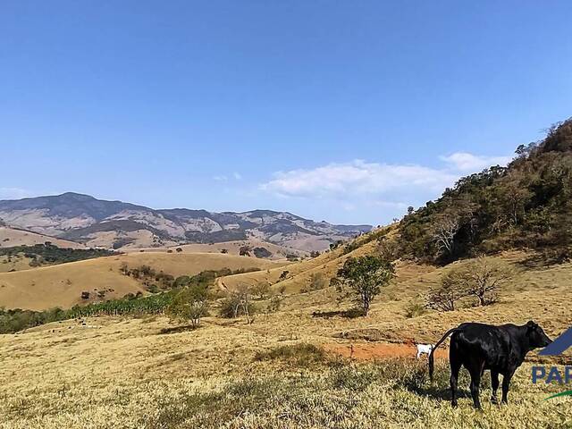 Terreno Rural para Venda em Consolação - 4