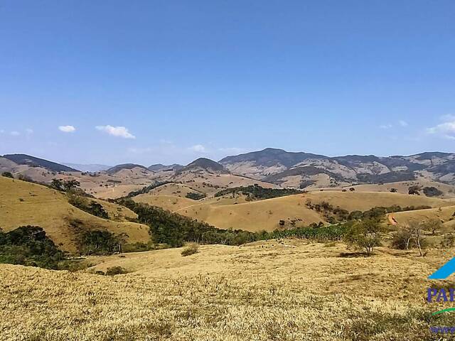 #134 - Terreno Rural para Venda em Consolação - MG - 1
