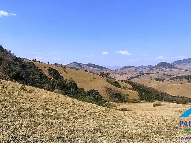 #134 - Terreno Rural para Venda em Consolação - MG - 3