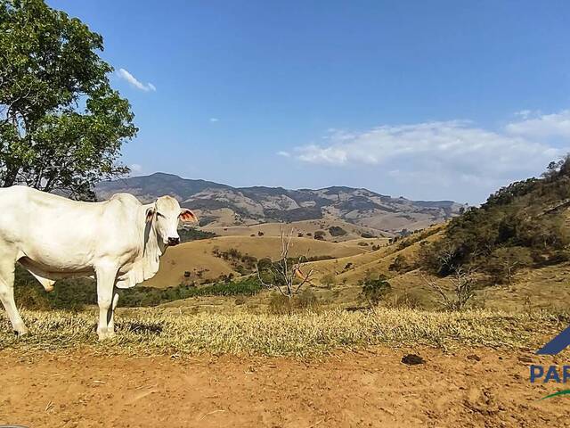 Terreno Rural para Venda em Consolação - 5