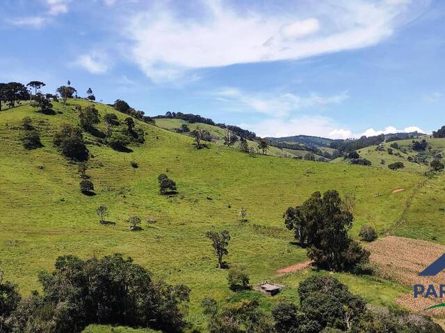 Terreno Rural para Venda em Paraisópolis - 4