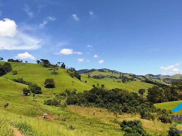 #163 - Sítio para Venda em Paraisópolis - MG - 1