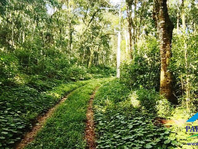 #167 - Chácara para Venda em Gonçalves - MG