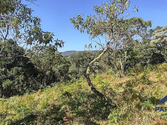 Terreno Rural para Venda em Gonçalves - 5