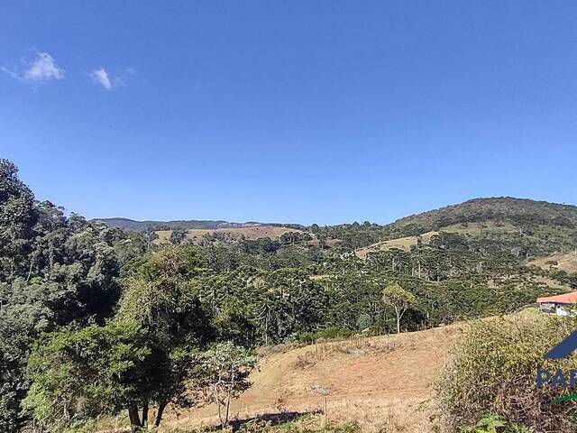 Terreno Rural para Venda em Gonçalves - 4