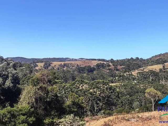 Venda em Centro - Gonçalves