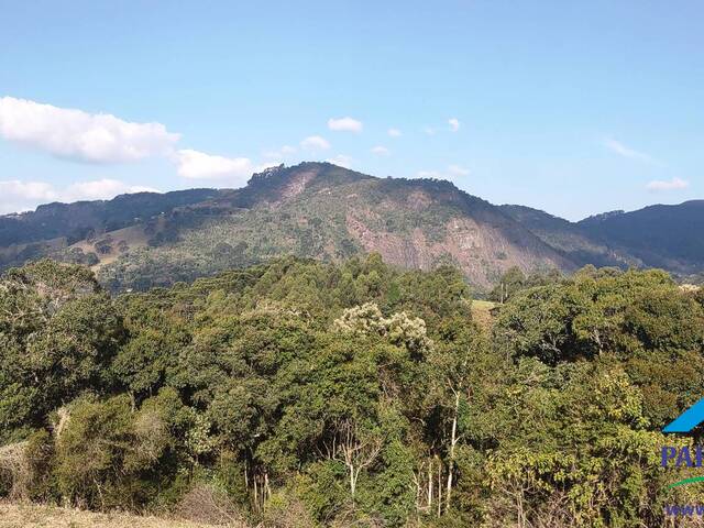 #176 - Chácara para Venda em Gonçalves - MG - 2