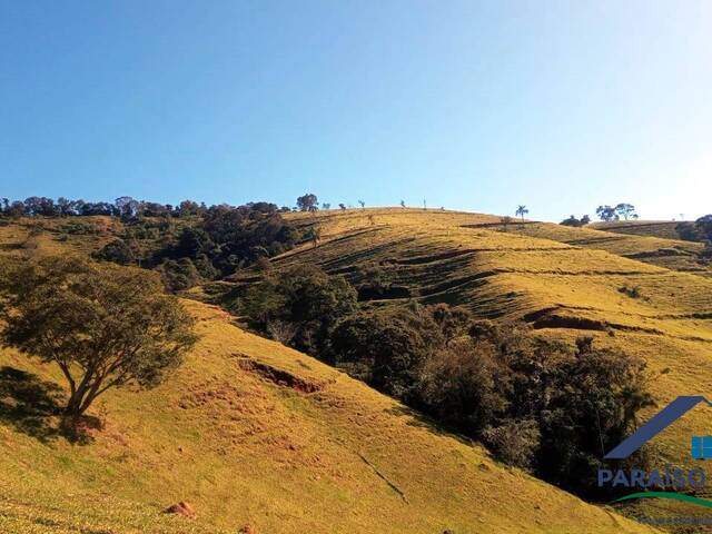 Terreno Rural para Venda em Cachoeira de Minas - 5