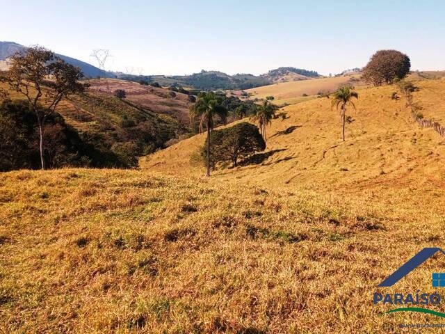 Terreno Rural para Venda em Cachoeira de Minas - 4