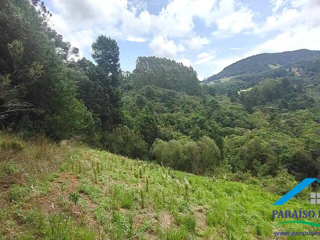 #184 - Terreno Rural para Venda em Camanducaia - MG