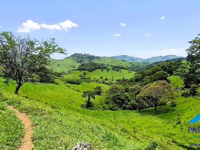 #191 - Chácara para Venda em Paraisópolis - MG - 3