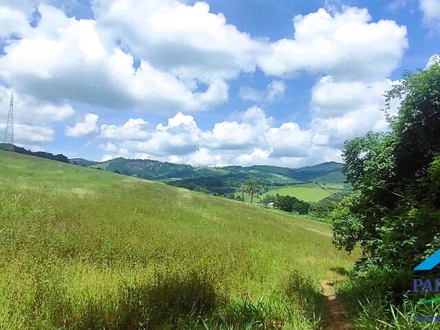#192 - Terreno Rural para Venda em Brasópolis - MG - 3