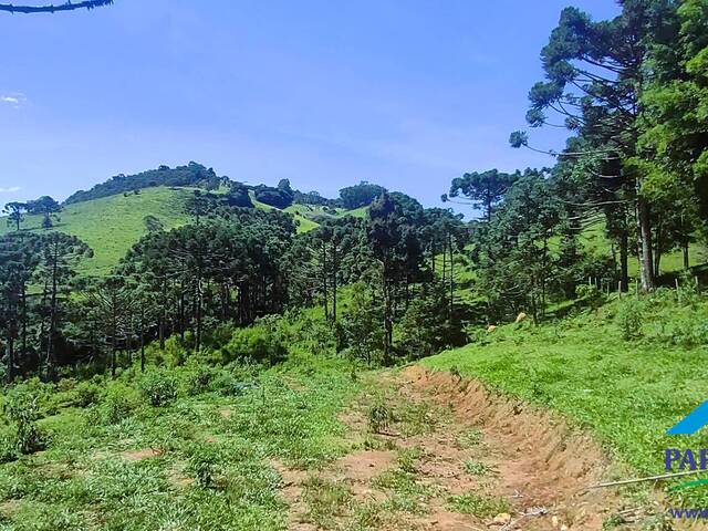 #193 - Terreno Rural para Venda em Gonçalves - MG - 2